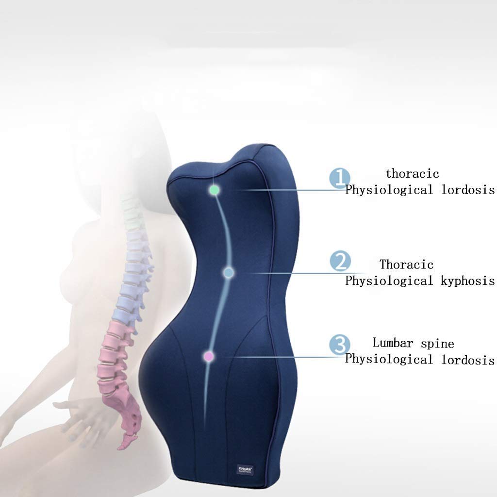 Large Memory Foam Lumbar Support Cushion