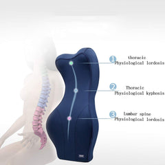 Large Memory Foam Lumbar Support Cushion