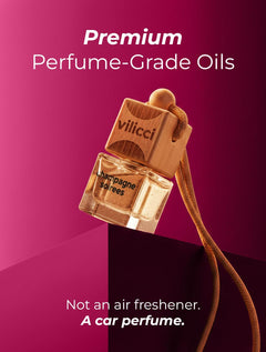 Hanging Car Fragrance Diffuser