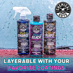 16-Piece Ceramic Vehicle Wash and Protection Kit