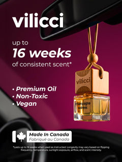 Hanging Car Fragrance Diffuser
