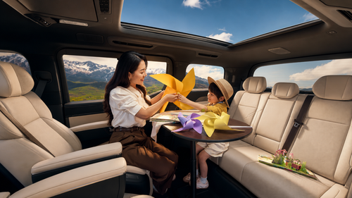 Roadelle smart car accessory